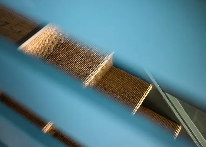 Canal Wow בית הארחה אמסטרדם