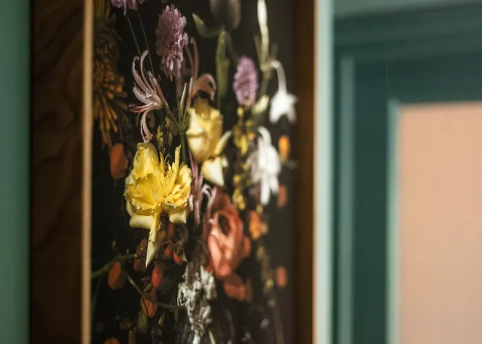 Canal Wow Άμστερνταμ